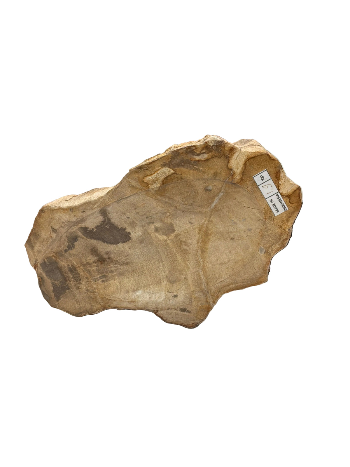 POLISHED PETRIFIED WOOD CATCH ALL BOWL