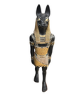 EGYPTIAN WOLF