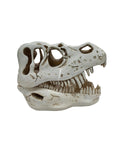 RESIN SKULL TYRANNOSAURUS REX ( LIGHT UP )