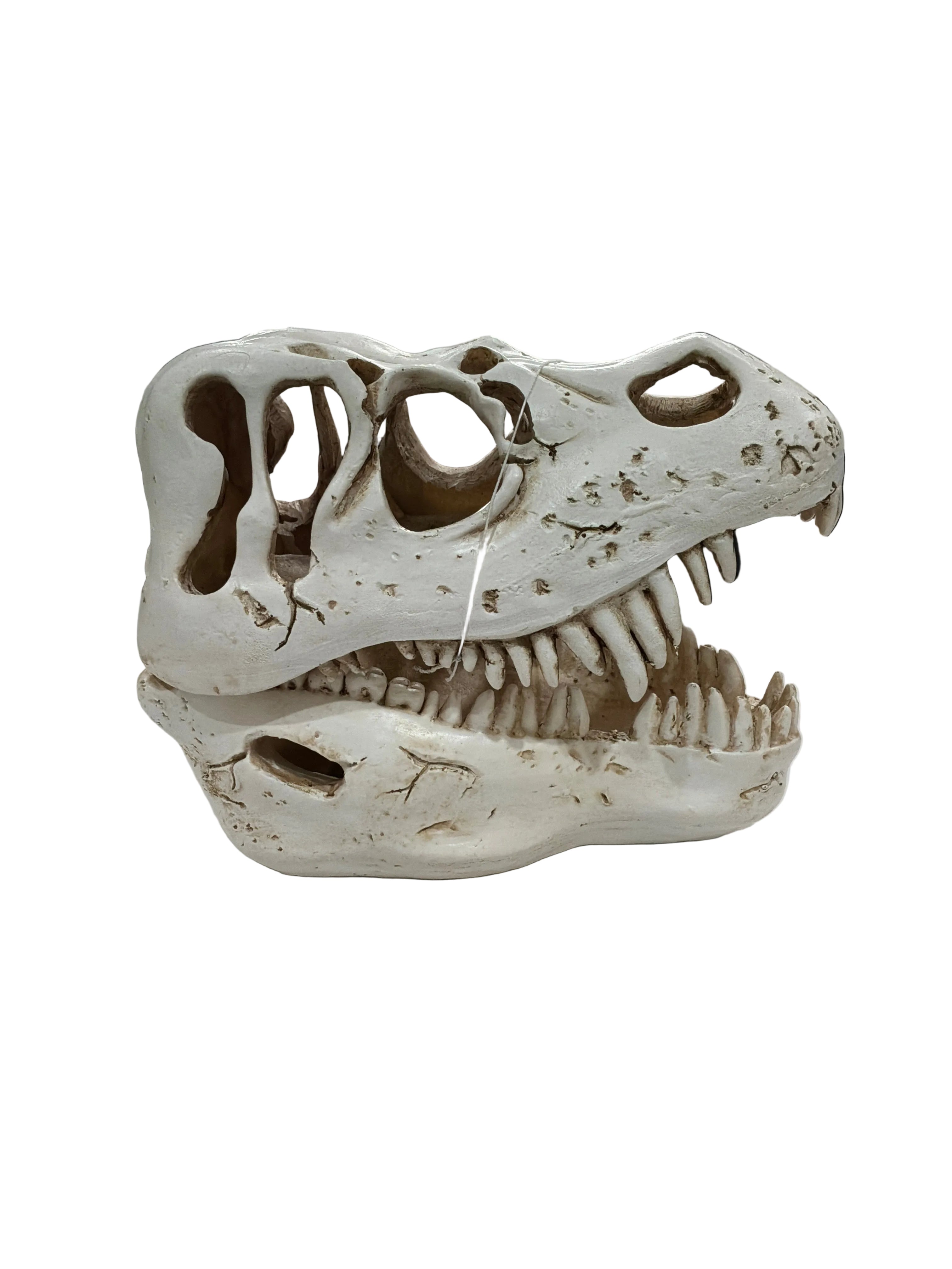 RESIN SKULL TYRANNOSAURUS REX ( LIGHT UP )