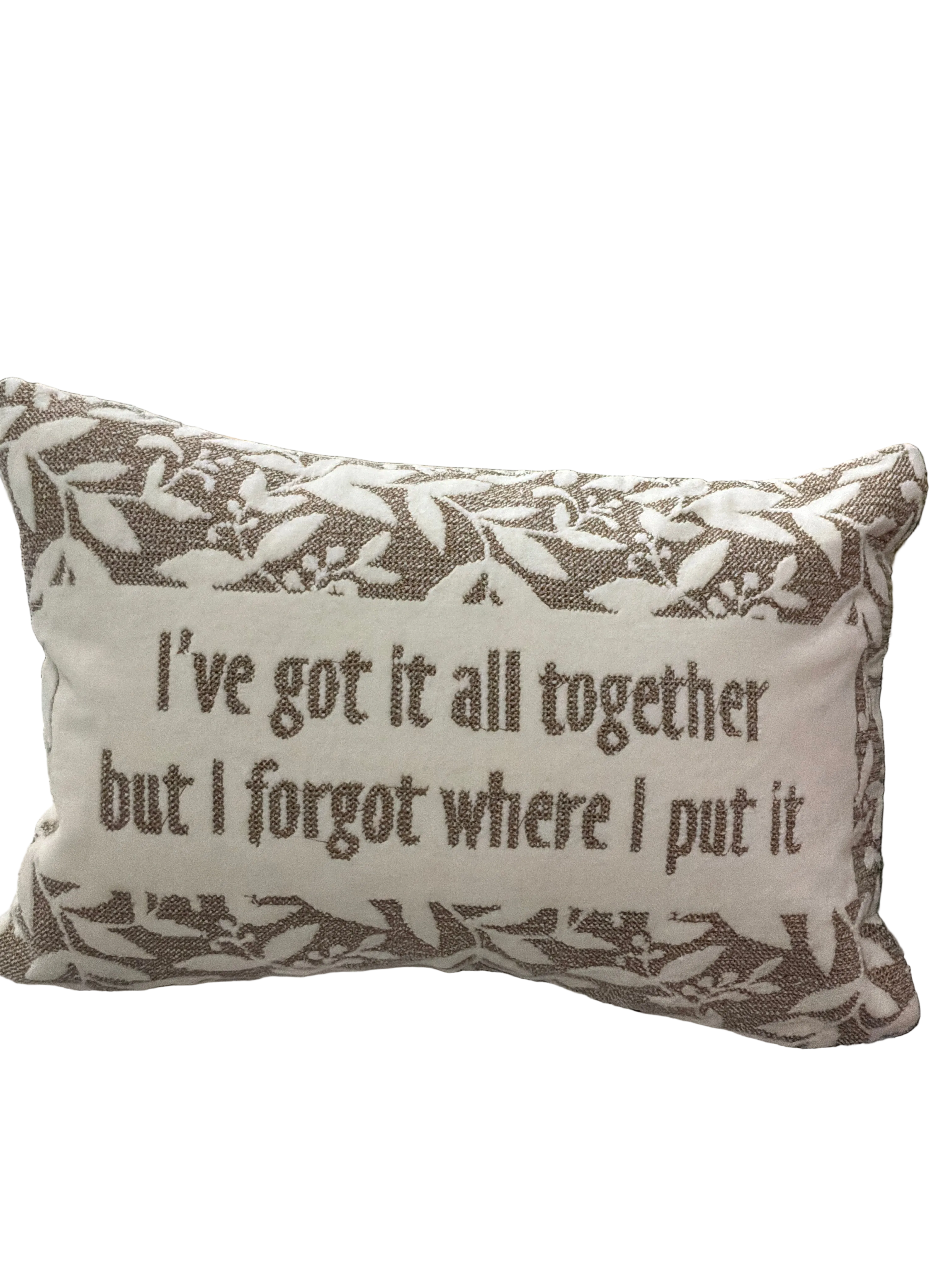 PILLOW I'VE GOT IT ALL TOGETHER BUT FORGOT WHERE I PUT IT