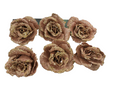 ROSE GOLD FLOWERS