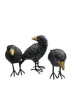 BLACK RESIN CROWS W/GOLD BEAK