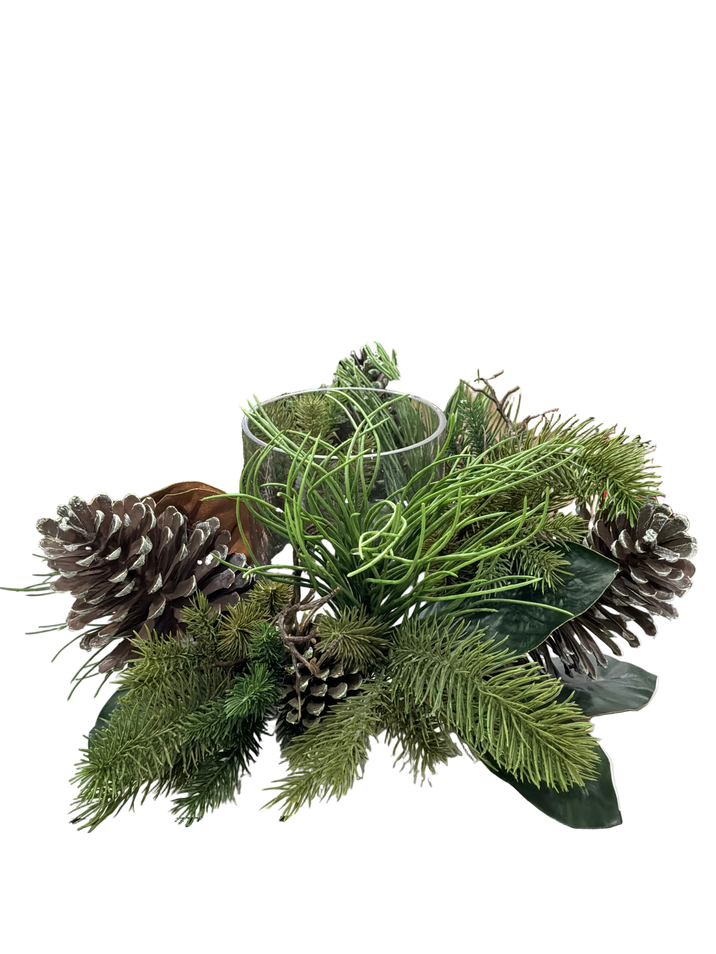 LONG NEEDLE PINE W/PINE CONES GLASS