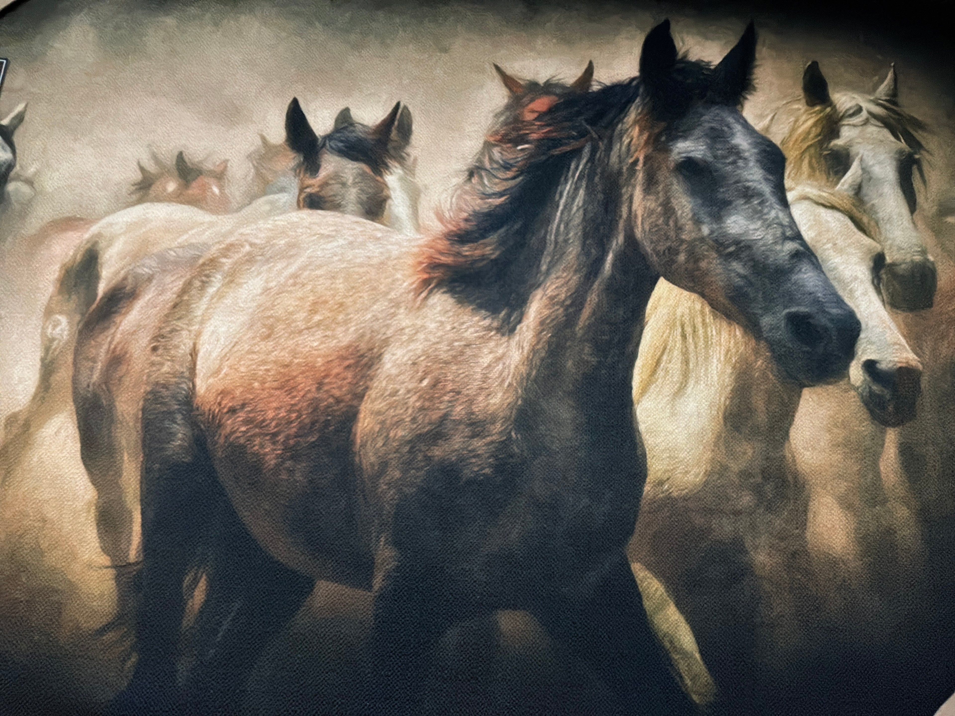 RUSTIC FIELD OF HORSES CANVAS PRINT