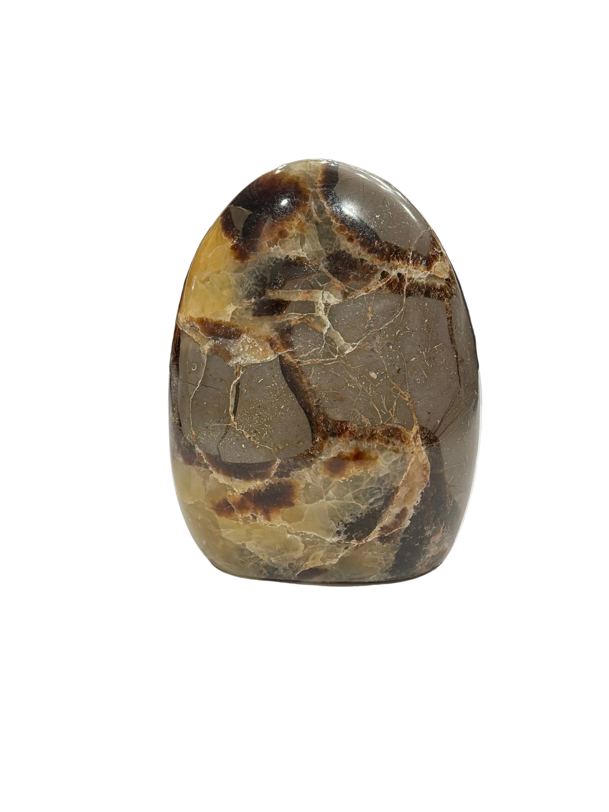 SEPTARIAN CRYSTAL DRAGON STONE