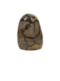 POLISHED SEPTARIAN FREEFORM MADAGASCAR