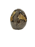 SEPTARIAN DRAGON STONE