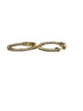 SCHANDRA MED HOOP GOLD EARRINGS W/SAFETY MECHANISM