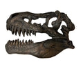 RESIN TYRANNOSAURUS REX SKULL REPLICA