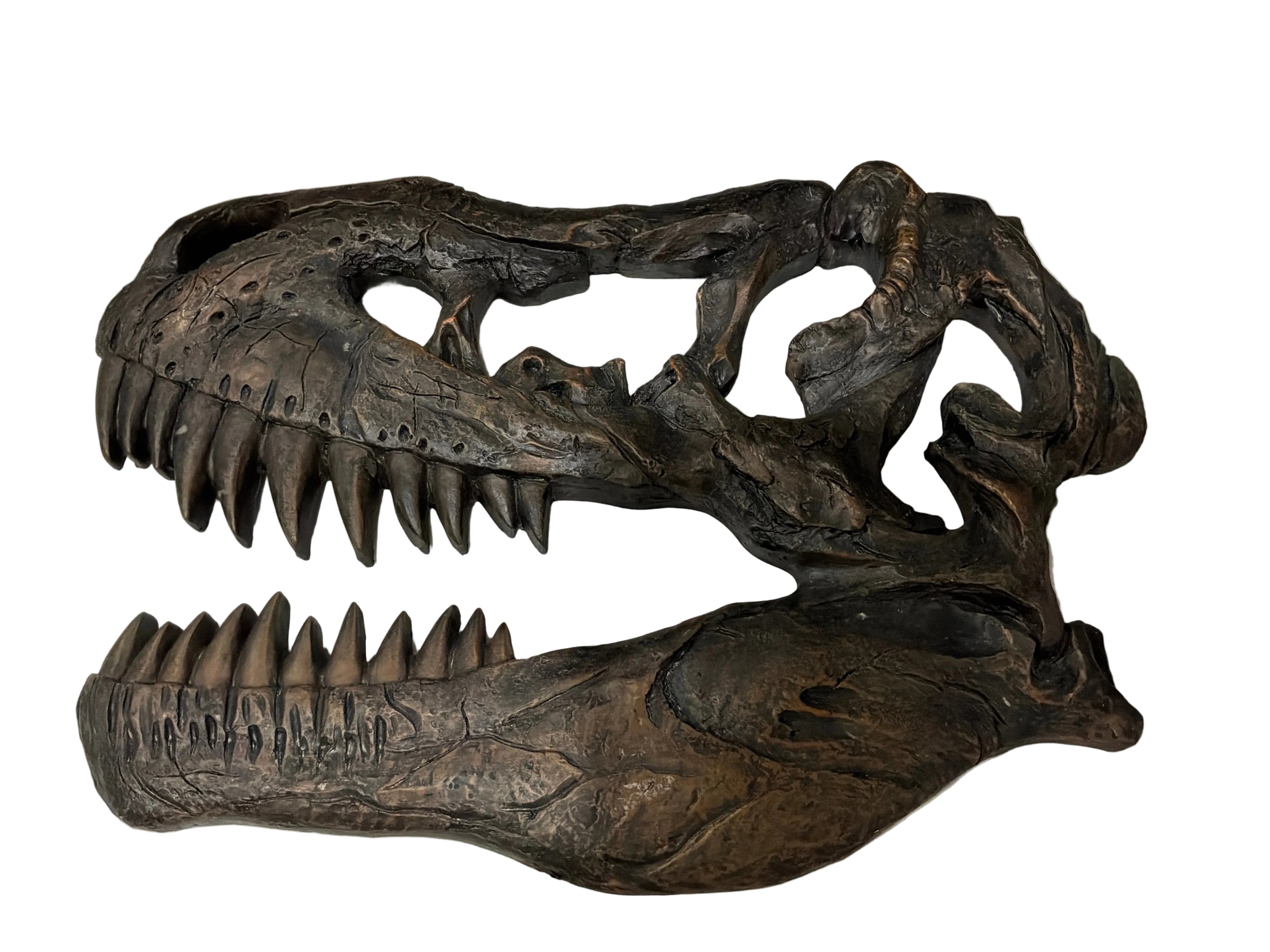 RESIN TYRANNOSAURUS REX SKULL REPLICA